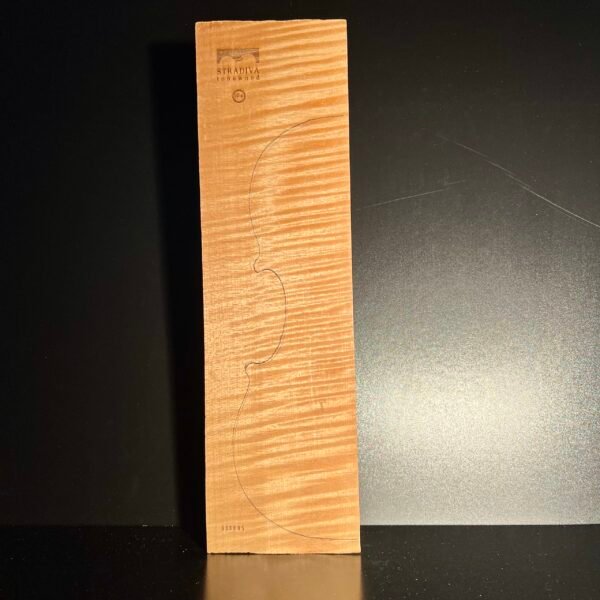 2-P Back Intensively Flamed Maple (IF+)005 25+ Years Old