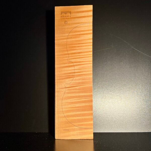 2-P Back Intensively Flamed Maple (IF+)003 25+ Years Old
