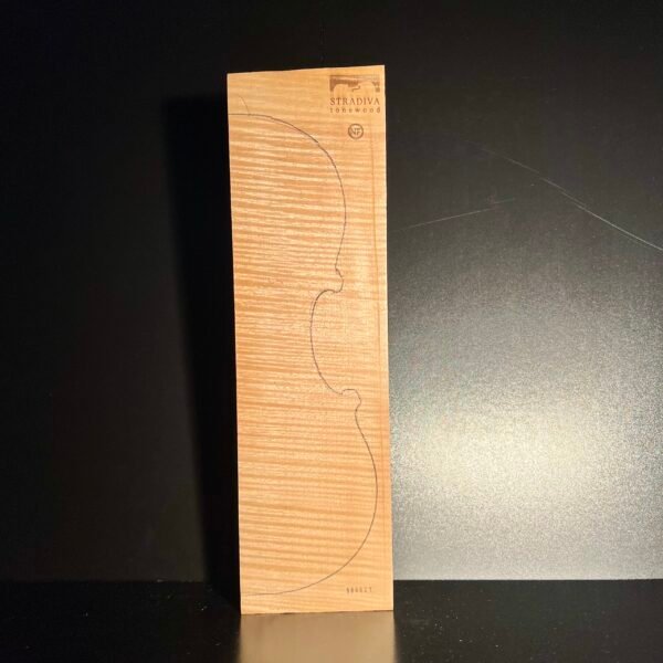 2-P Back Intensively Flamed Maple (IF) 021 25+ Years Old