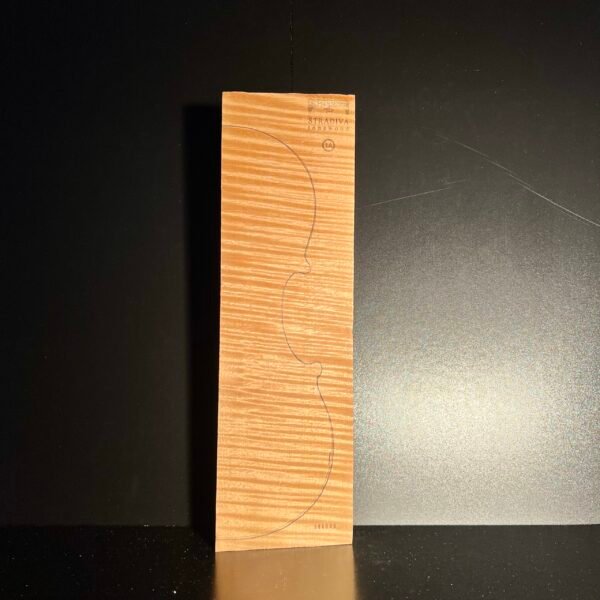 Back 1A Maple (1A) 006 25+ Years Old