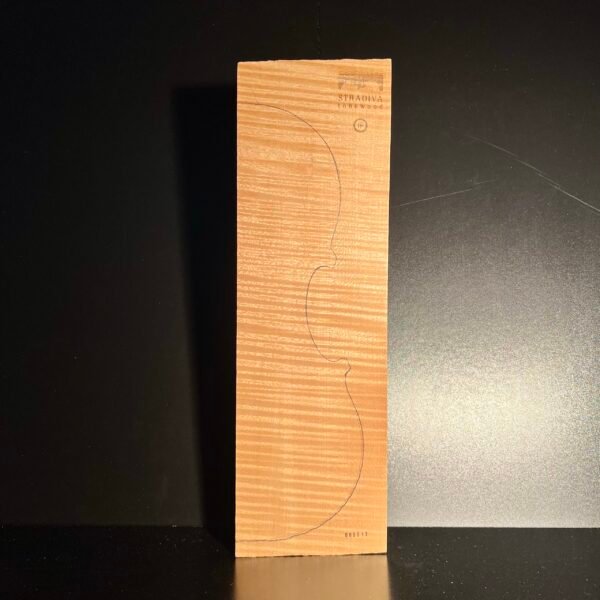 2-P Back Intensively Flamed Maple (IF) 017 25+ Years Old