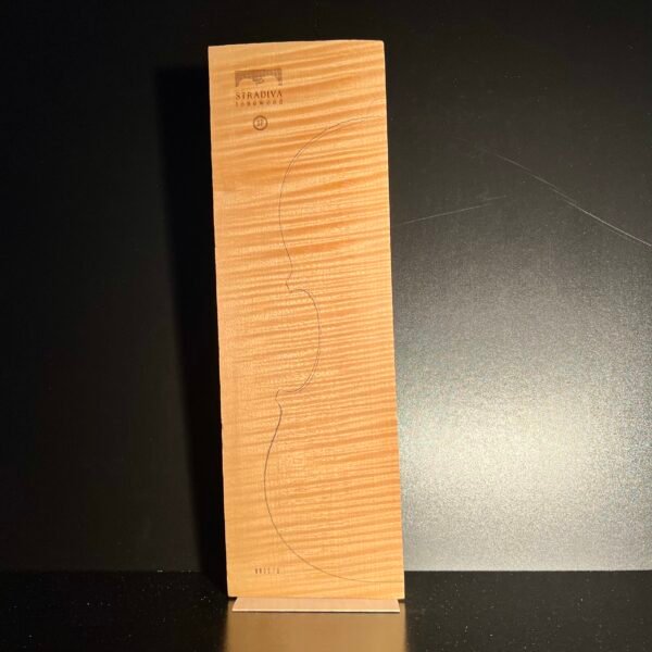 2-P Back Strongly Flamed Maple (SF) 010 25+ Years Old