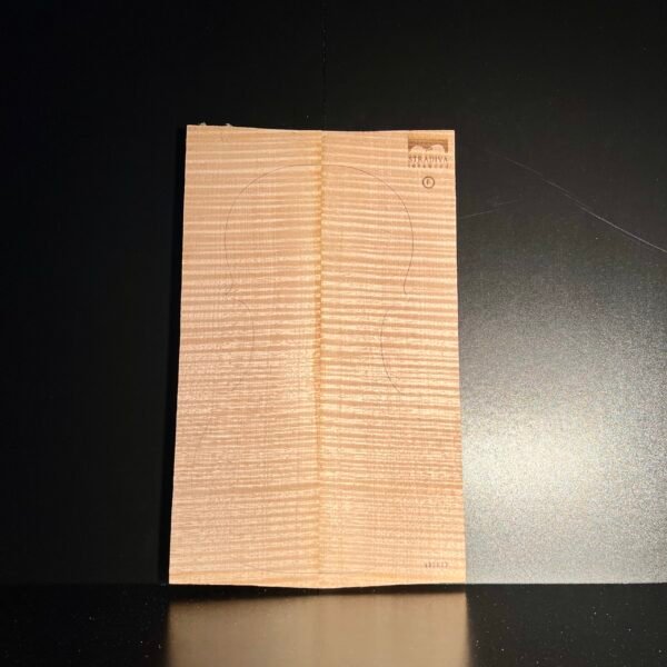 Back Flamed (F) 033 25+ Years Old