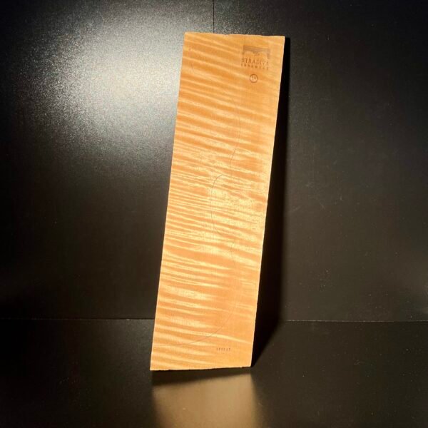 2-P Back 1A Maple (1A) 007 25+ Years Old